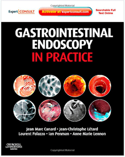 Gastrointestinal Endoscopy in Practice