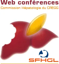 Webconférence de la commission Hépato