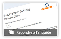 enquete-flash-5