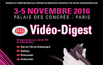 Vidéo Digest 2016
