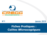 Colites Microscopiques